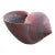 French Terracotta Conch Seashell Planter For Sale