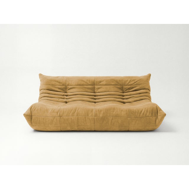 Mid-Century Modern Togo Sofa in Curry Microfiber by Michel Ducaroy for Ligne Roset, Set of 5 For Sale - Image 3 of 13