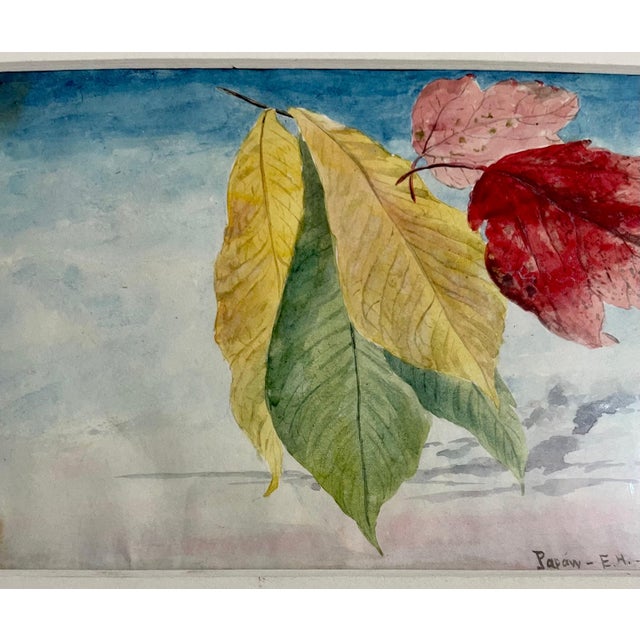 Charles De Wolf Brownell, Maple Leaves Watercolor Painting 19th C. American Artist Charles DeWolf Brownell, 1902 For Sale In Miami - Image 6 of 13