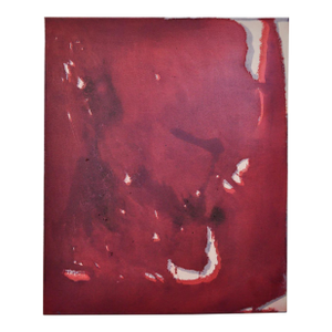 Aimee Parrott, Untitled, 2013