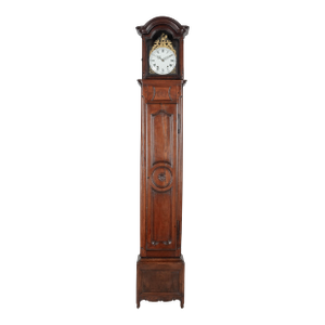 19th Century Louis XV Style French Tall Case Clock or Morbier Clock