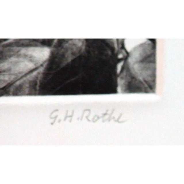 1980s G H Rothe Rain and Sunshine Over Seastone Hand Signed Limited Edition Unframed For Sale - Image 5 of 5