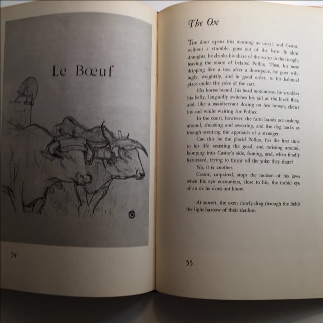 Paper Natural Histories A Bestiary Jules Renard 1966 For Sale - Image 7 of 11