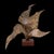 Mid-Century Modern Mid-Century Modern Brutalist Torch Cut Brass Fern Sculpture W/ Wood Base For Sale - Image 3 of 4