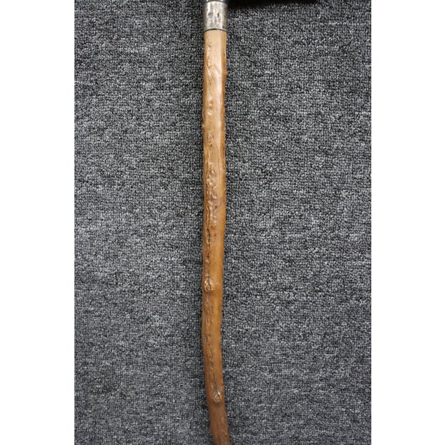 Antique English Country Walking Stick With Deer Antler and Silver Handle For Sale - Image 10 of 16