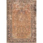 Shop Sono Rugs