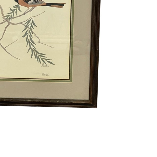 1970s Vintage Signed Baltimore Orioles Bird Painting - Framed Wildlife Artwork. For Sale - Image 5 of 10