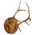 Pair of Elk Antlers Mounted on Pine For Sale - Image 9 of 9