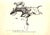 Paper "The Grasslands International Steeplechase: A Complete History of the First Grasslands International Steeplechase" 1931 Gourlay, John For Sale - Image 7 of 18