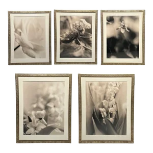 Modern, Large Black and White Photographs, Floral Still Life, Framed, 1990s