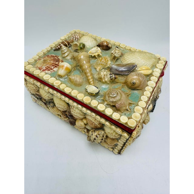Vintage Shell Box | Chairish