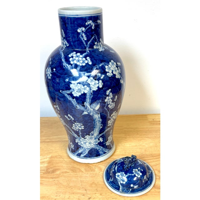 Blue Chinese Blue & White 'Prunus & Birds' Jar/Vase & Cover Earlier Qing Dynasty For Sale - Image 8 of 12