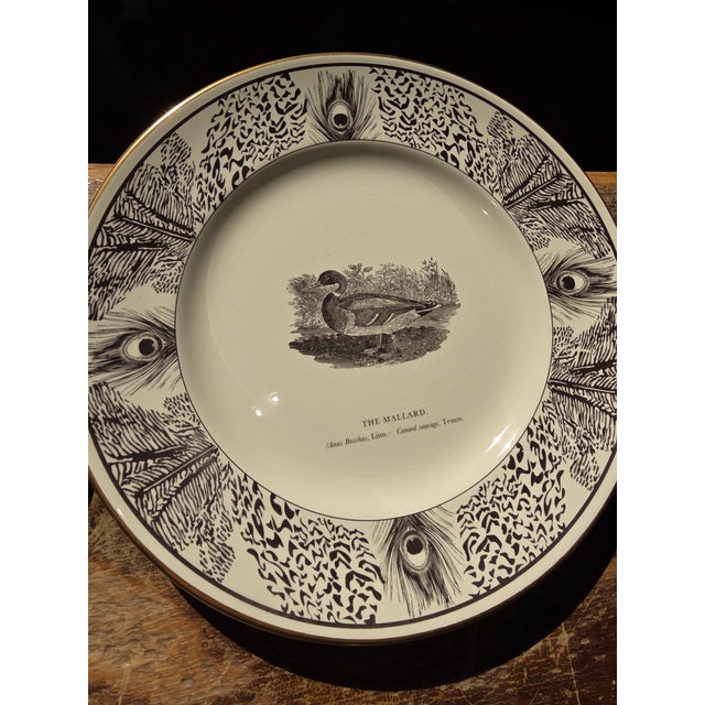 Art Deco Six Bewick Bird Plates by Prinknash Abbey Pottery For Sale - Image 3 of 12