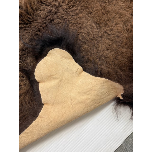 6ft 8in × 8ft Buffalo Pelt, Winter Woolly For Sale - Image 11 of 12