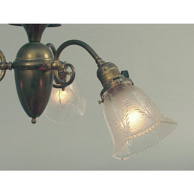 Victorian 1910 Victorian All Brass 3-Arm Electric Chandelier, All Original, Glass Shades For Sale - Image 3 of 5