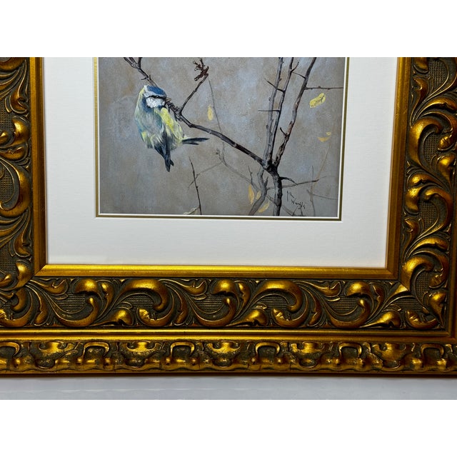 Victorian Watercolour Painting Apple Blossom Eurasian Blue Tit Bird Ornithology by Arthur Wardle For Sale - Image 10 of 12