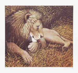 Caroline Schultz, Ngorongoro Lion, Lithograph