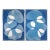 2026, Organic Floating Shapes in Blue Tones, Handmade Monotype Diptych, Our Subtle Differences, Cyanotype on Paper For Sale