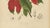 Berthe Hoola van Nooten, Poinsettia, 1880, Chromolithograph For Sale - Image 6 of 9