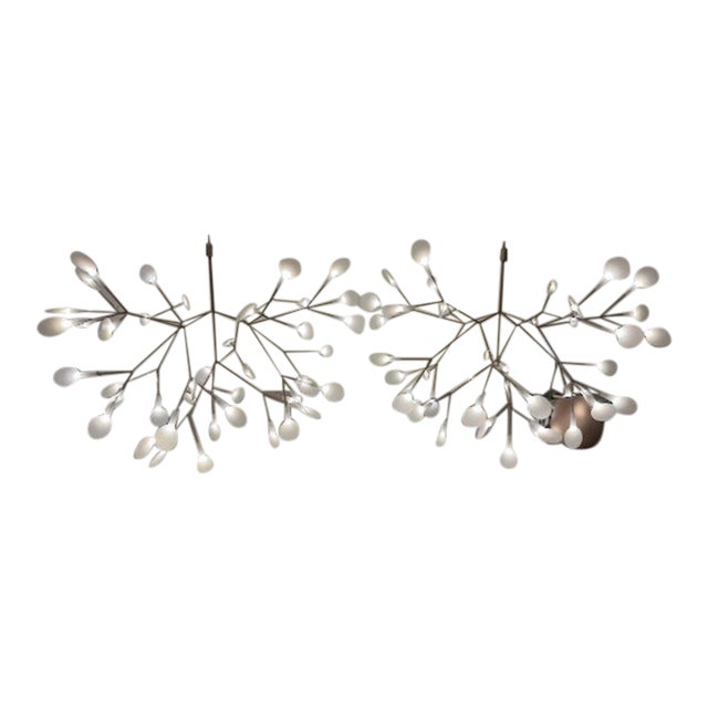Contemporary Moooi Heracleum II Copper Finish Chandelier - Pair For Sale