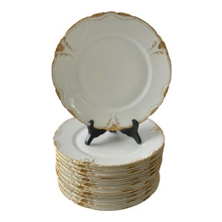Theo Haviland Limoges Gilt & White Dinner Plates - Set of 12 For Sale