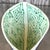 Vintage Signed Hand Painted Glazed Ceramic Vessel For Sale - Image 13 of 15