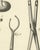 Antonio Baratti, Forceps and Bladed Instruments, Diderot Surgery Plate Xxiii, 1772, Engraving For Sale - Image 4 of 8