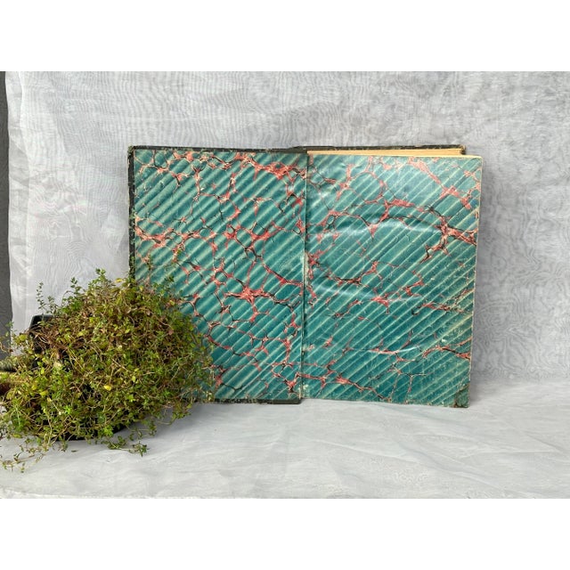 Antique Illustrated French Medical Book For Sale - Image 4 of 10