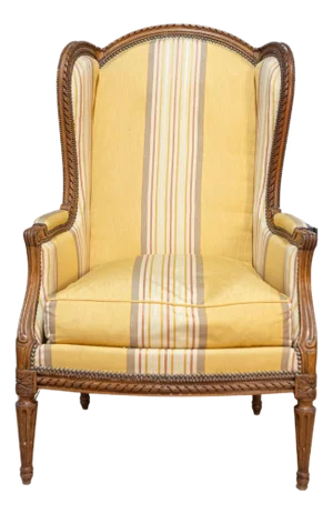 20th Century French Louis XVI Style Bergere