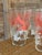 Libbey Glass Co. Set of 4 Monumental Coastal Vintage Pink Flamingo Cocktail Drinking Glasses For Sale - Image 4 of 11