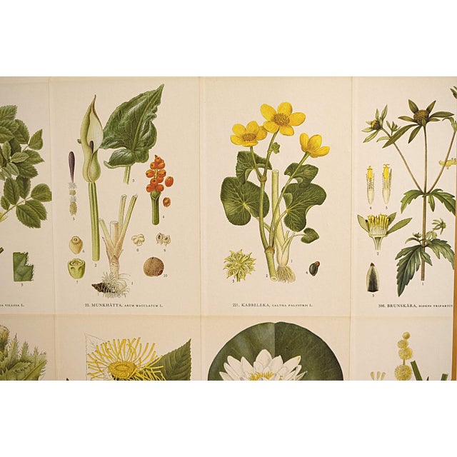 Vintage Swedish Cabinet by Cam Lindman, 1960s For Sale - Image 6 of 9