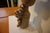 Stoneware Lamp by Pierre Koppe, 1979 For Sale - Image 14 of 16