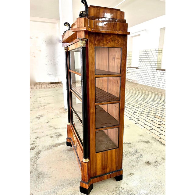 Brown 19th Century Empire Display Cabinet with Mystical Figures, Germany, 1850s For Sale - Image 8 of 18