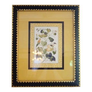 1980s Black, Gold & Yellow Botanical Print, Framed For Sale
