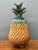 Amber Vintage Hilario Alejo Madrigal Terracotta Pineapple Jar For Sale - Image 8 of 14