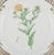 Royal Copenhagen Flora Danica openwork lunch plate in hand-painted porcelain with flowers and gold decoration. Model:...