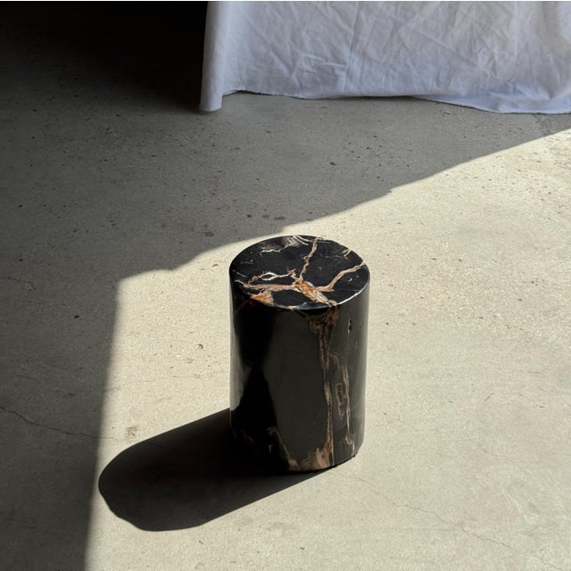 Brutalist Side Table in Black Petrified Wood with Beige Star Pattern For Sale - Image 3 of 18