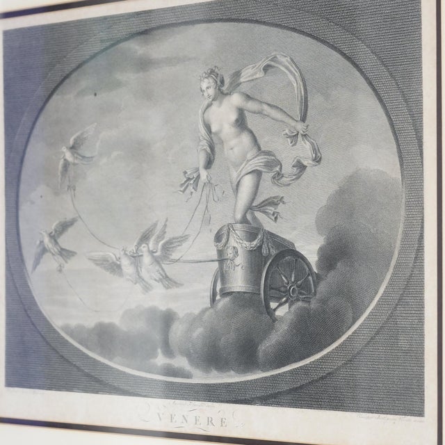 Late 18th–Early 19th Century Neoclassical “Venere” Venus Engraving After Raphael – Tofanelli & Bertigneni For Sale - Image 10 of 14