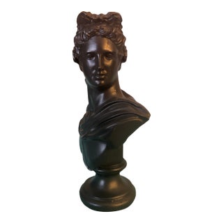 Contemporary Neoclassical Matte Black Resin Bust of Apollo Belvedere For Sale