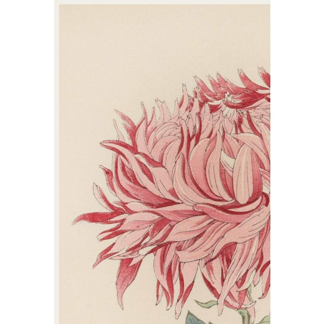 A refined example of late 19th-century Japanese botanical illustration, this vintage Japanese botanical art print...