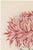 A refined example of late 19th-century Japanese botanical illustration, this vintage Japanese botanical art print...