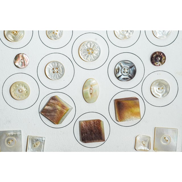 White Fascinating Collection of Framed Mother of Pearl Antique Buttons Clothing Fashion For Sale - Image 8 of 14