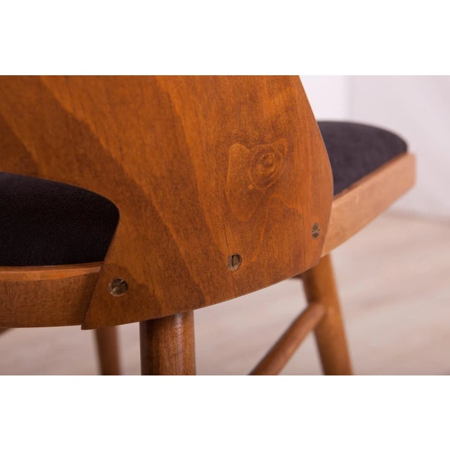 Model Lollipop Dining Chairs from Tatra, 1960s, Set of 4 For Sale - Image 15 of 18