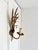 Vintage Gilt Metal Wheat Sheaf Wall Sconce, France, 1960s For Sale - Image 12 of 13
