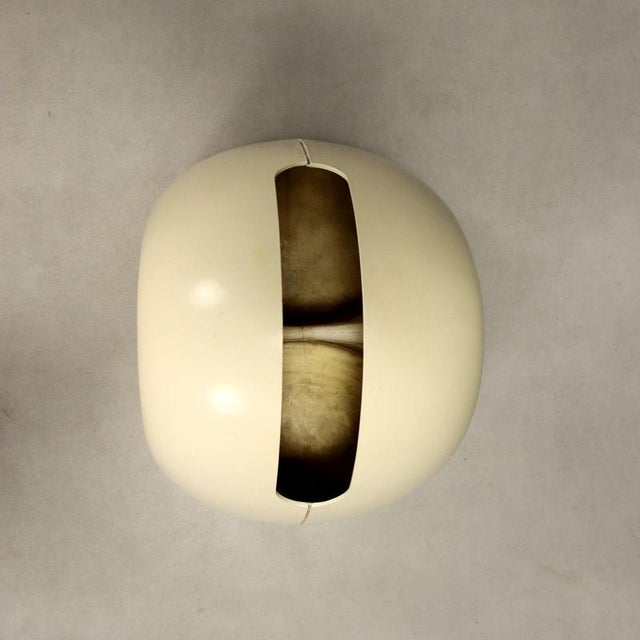 Noè Umbrella Stand from Fontana Arte For Sale - Image 3 of 9