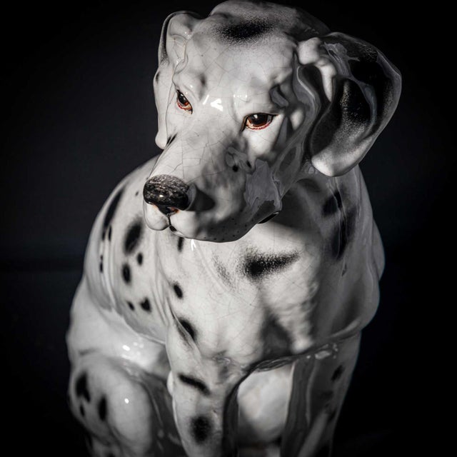 Black Ceramic Dalmatian, Italy, Mid-20th Century For Sale - Image 8 of 18