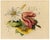 James Holland OWS, Flower Posy with Tulip & Clematis, Watercolour For Sale - Image 3 of 7