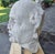 White Head of Philosopher, 1920, Stone For Sale - Image 8 of 12