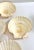 Vintage Natural Scallop Shell Serving Dishes, Coastal Set of 7 For Sale - Image 11 of 12