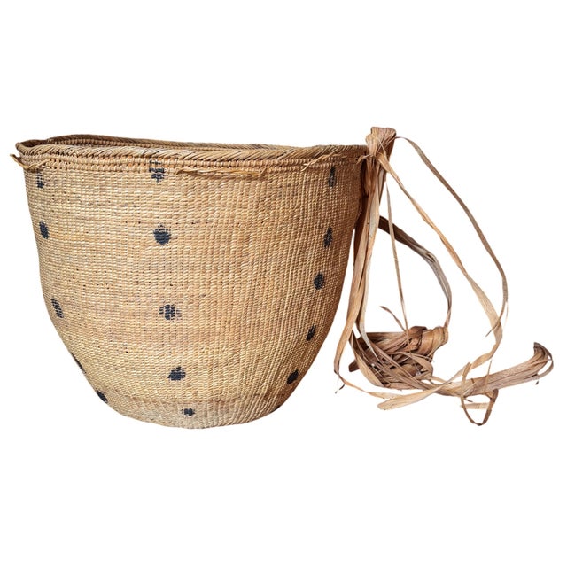 Yanomami Gathering Basket With Head Strap For Sale In Chicago - Image 6 of 12